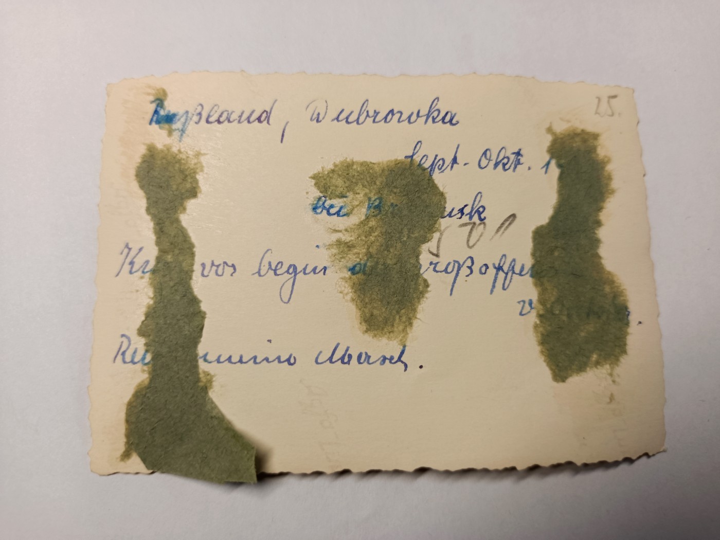 阿娜斯塔西亚军事题材拍卖第五期 Third Reich1940原品士兵家庭类合照，后面带手写文字