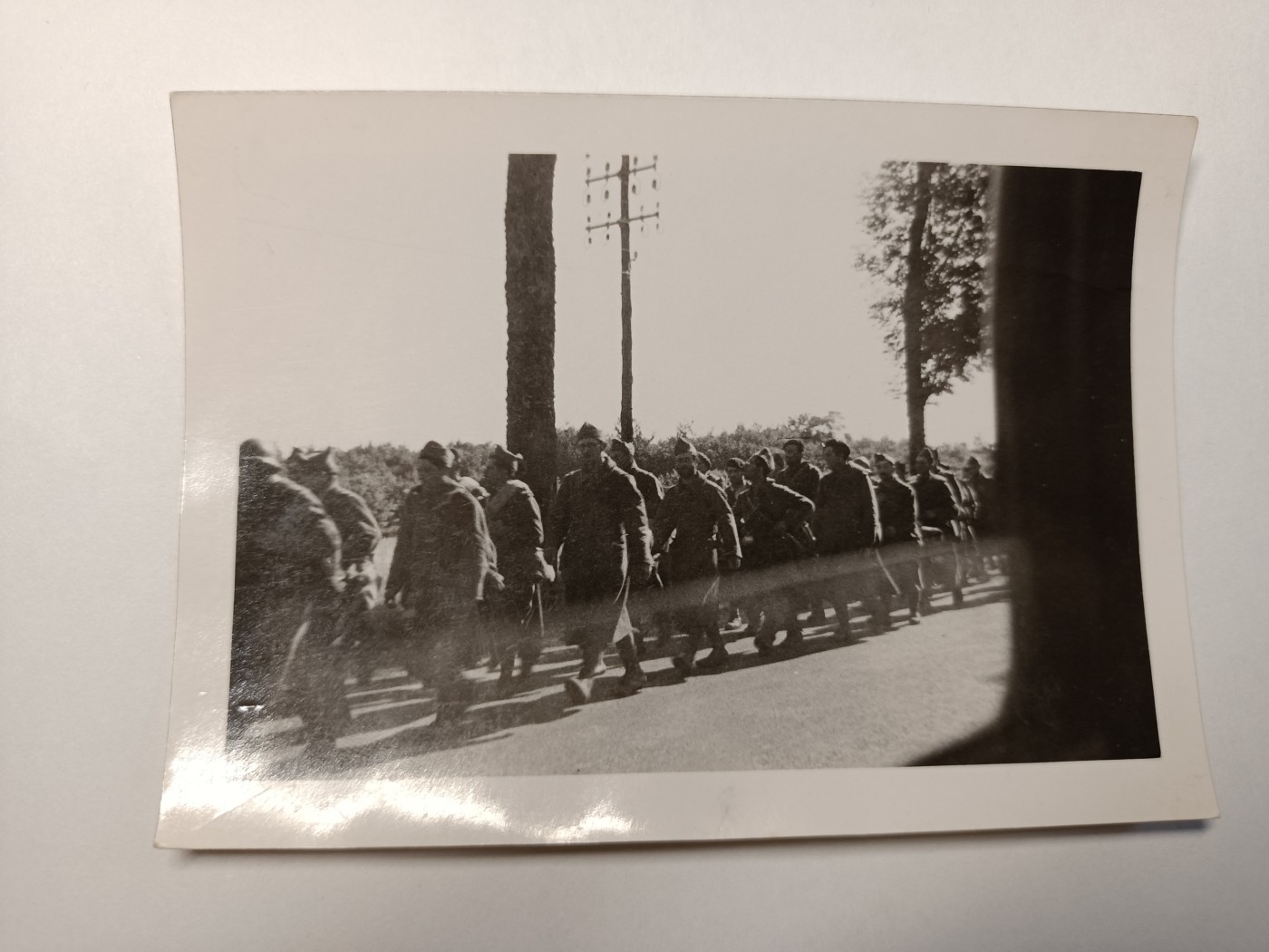 阿娜斯塔西亚军事题材拍卖第五期 Third Reich1941官兵行军原品老照