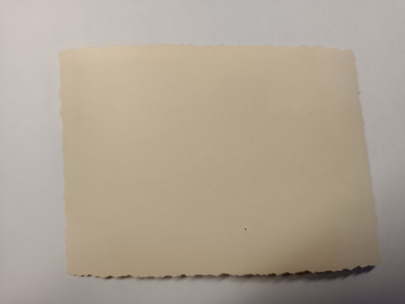 阿娜斯塔西亚军事题材拍卖第五期 Third Reich1940原品陆军官兵合照老照