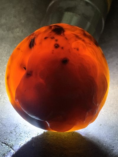 精美亚光高玉化战国红玛瑙手工雕刻雄狮吊坠（把件）一个！ 精美亚光高玉化战国红玛瑙手工雕刻雄狮吊坠（把件）一个！