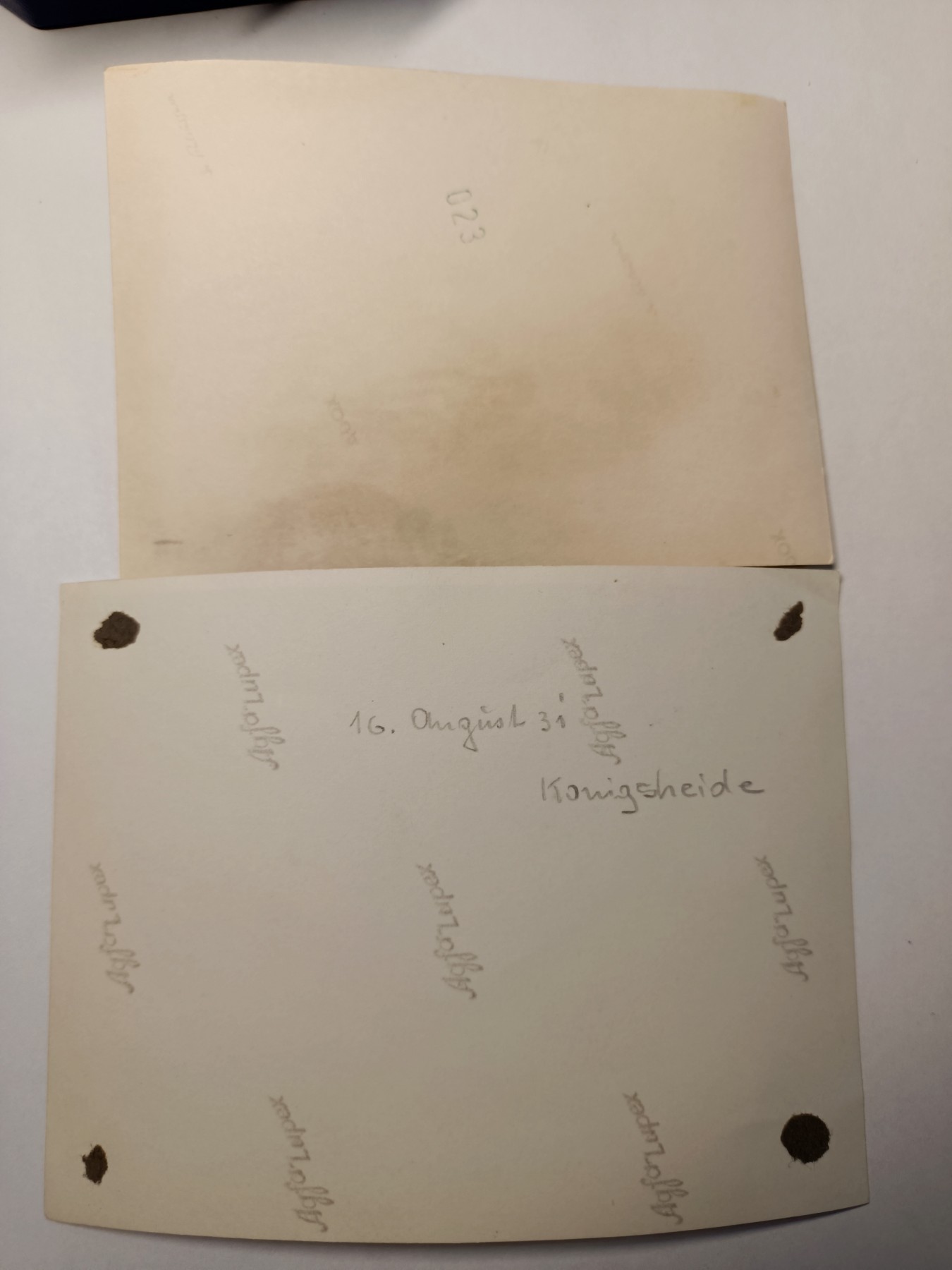 阿娜斯塔西亚军事题材拍卖第五期 Third Reich1940原品日常家庭类老照一共两张，背后带有手写字迹编号等