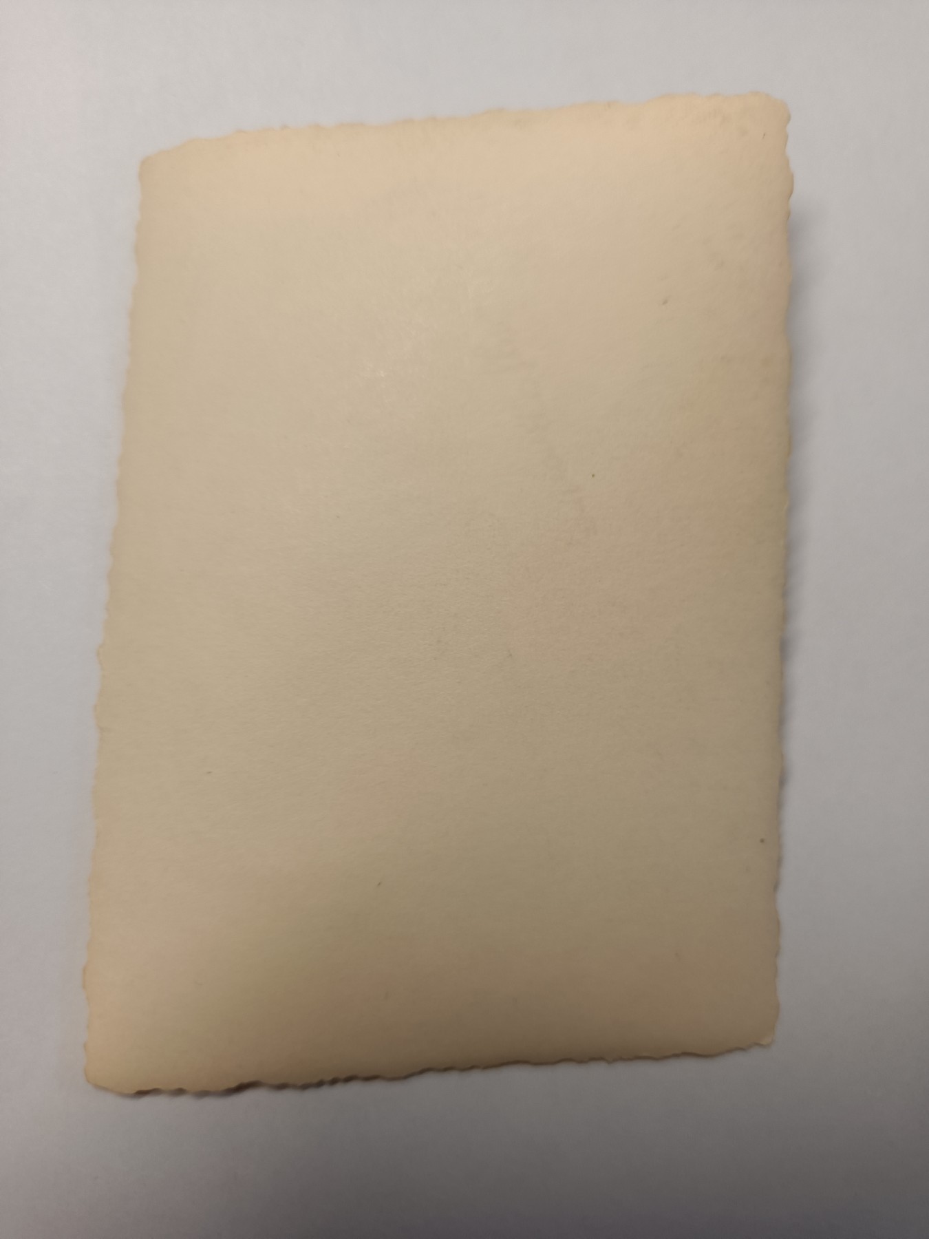 阿娜斯塔西亚军事题材拍卖第五期 Third Reich1940陆军军官原品老照