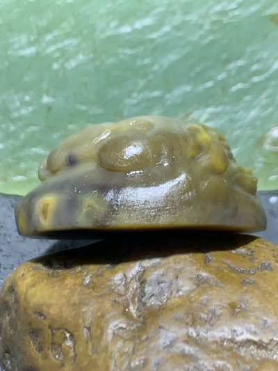 精美亚光高玉化战国红玛瑙手工雕刻雄狮吊坠（把件）一个！ 精美亚光高玉化战国红玛瑙手工雕刻雄狮吊坠（把件）一个！