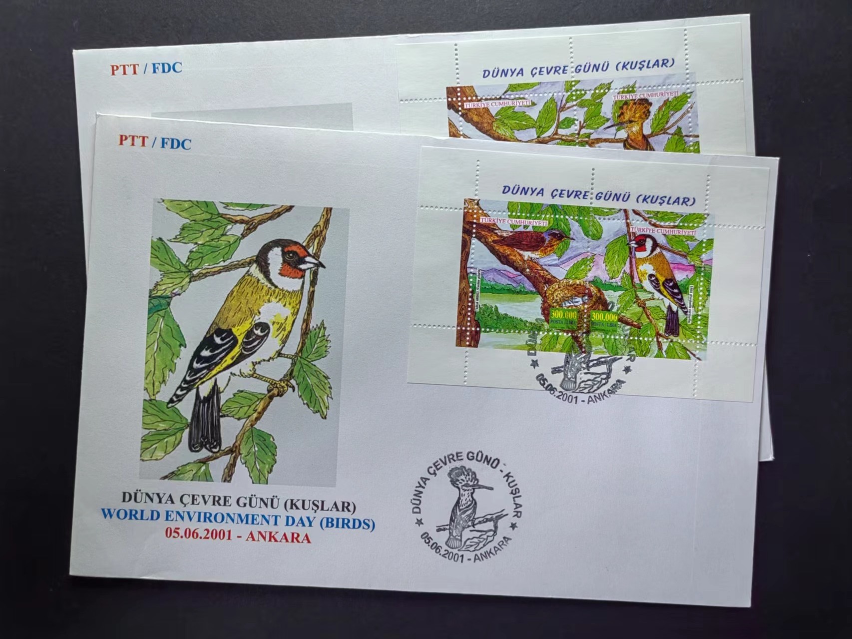 多国邮品✌（拍卖场）精品🔥专场 第五十场 安哥拉2001年 （世界环境保护-鸟类 大邮封）