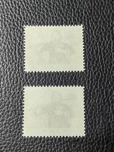 洪涛臻品批发群 精选邮票限时拍卖第1119期  ★组外品★普无号 11.5°细齿 农民裸票两枚1拍，普通票下边16个齿，细齿组外品19个齿，存世量少，全品可评级，喜欢不要错过