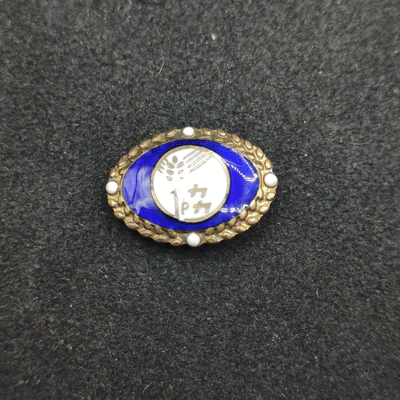 全场0元起拍 第135期 咸鱼国勋章拍卖专场 3月3日（周日）下午6：00开始 日本战时珐琅徽章