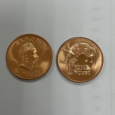 康怡轩【世界各国小硬币专场】第124期  - 赞比亚1恩韦 50枚