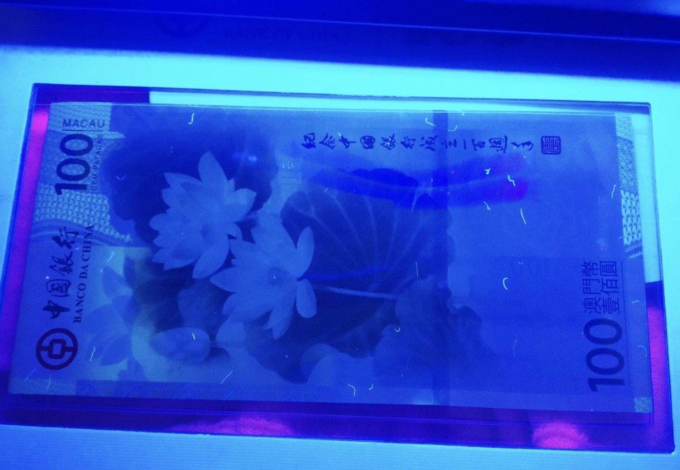 荷花钞