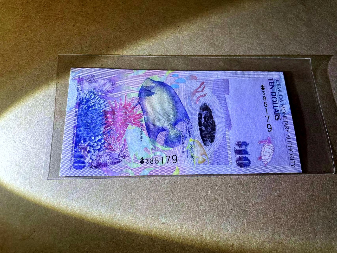 【Blue Auction】✨世界纸币精拍第438期【精】 【洋葱冠】百慕大 2009年5元 全新UNC