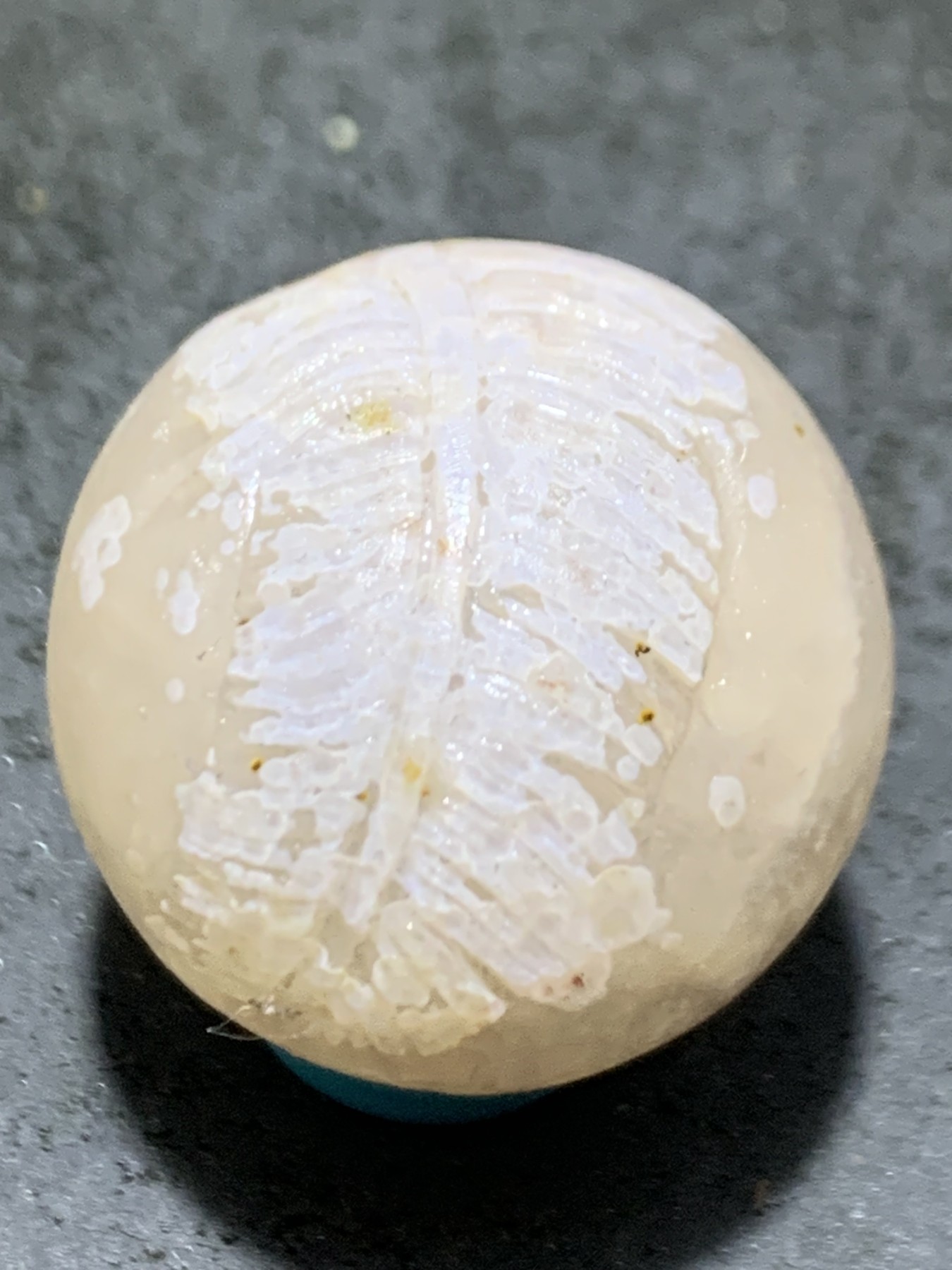 精美亚光冰飘原皮战国红玛瑙手工雕刻雪羽珠一颗！