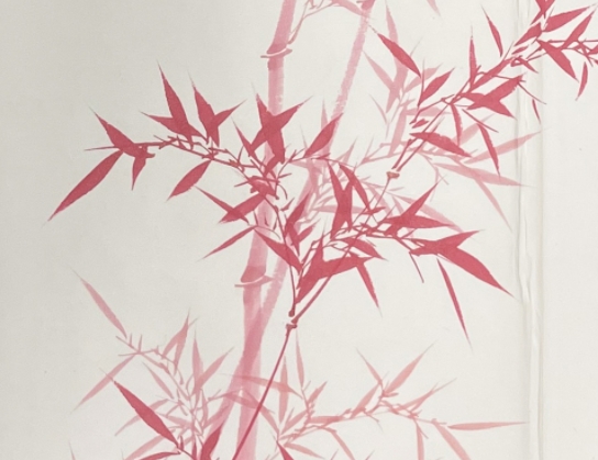 舒云轩知微见著文物局报备专场 启功《竹石图二帧》尺幅：63*44*2 