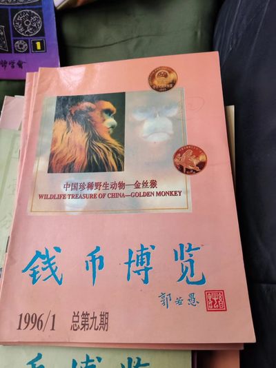 钱币博览1996年第1期总第9期（8.5品左右） - 钱币博览1996年第1期总第9期（8.5品左右）