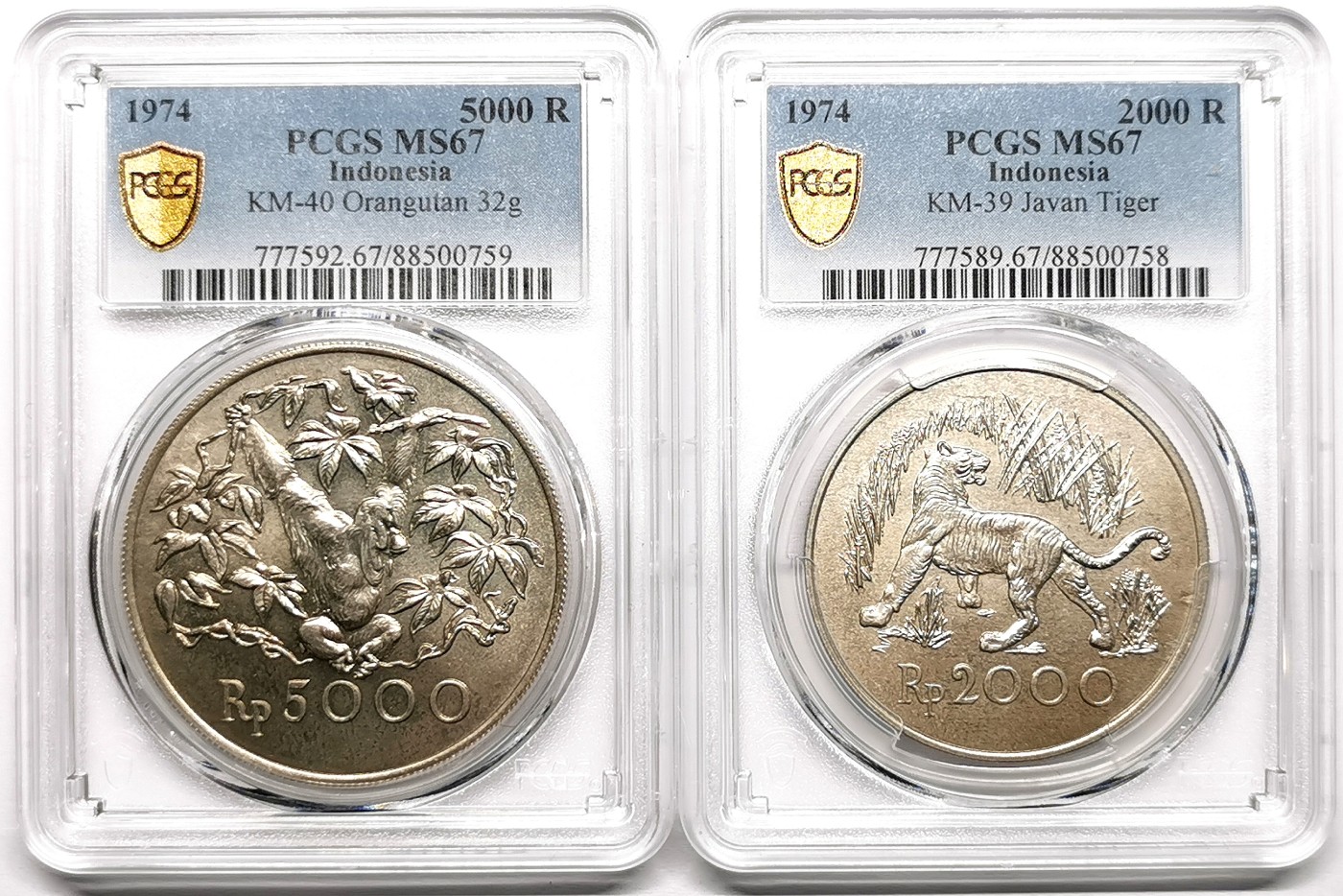 凡希社世界钱币微拍第二百六十一期（龙年开运场） 1974印度尼西亚濒危动物大银两枚套PCGS-MS67