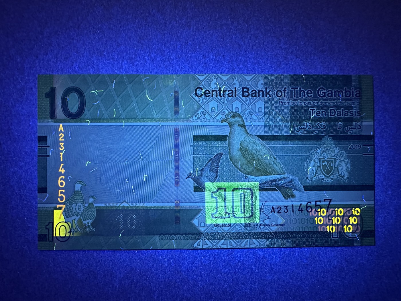 《张总收藏》139期-精品外币 冈比亚10元 UNC 2019年 鸟版
