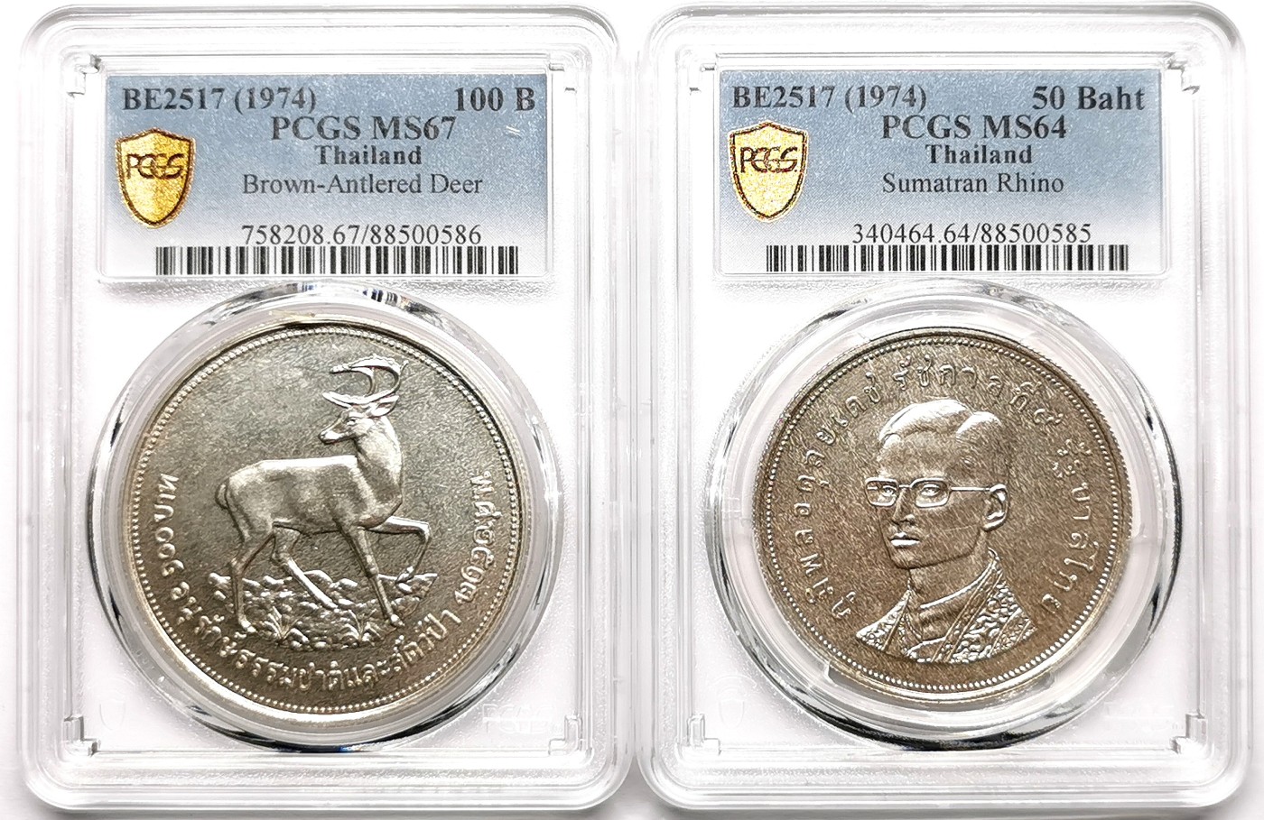 凡希社世界钱币微拍第二百六十一期（龙年开运场） 1974泰国濒危动物大银两枚套PCGS-MS67/64