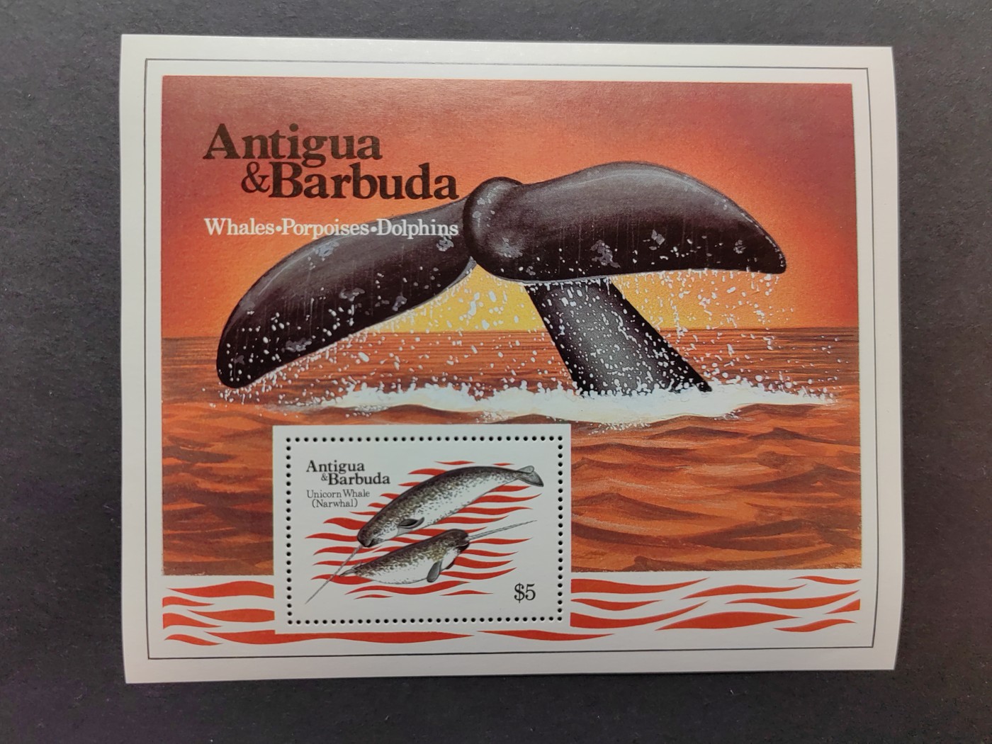 多国邮品✌（拍卖场）精品🔥专场 第⑤①场  巴布达 1983年 鲸鱼 小型张 