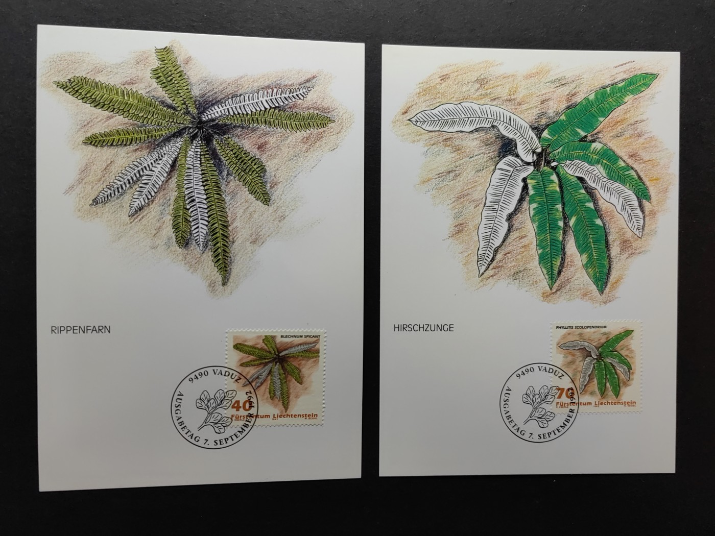 多国邮品✌（拍卖场）精品🔥专场 第⑤①场 列支敦士登公国极限明信片（海洋植物）