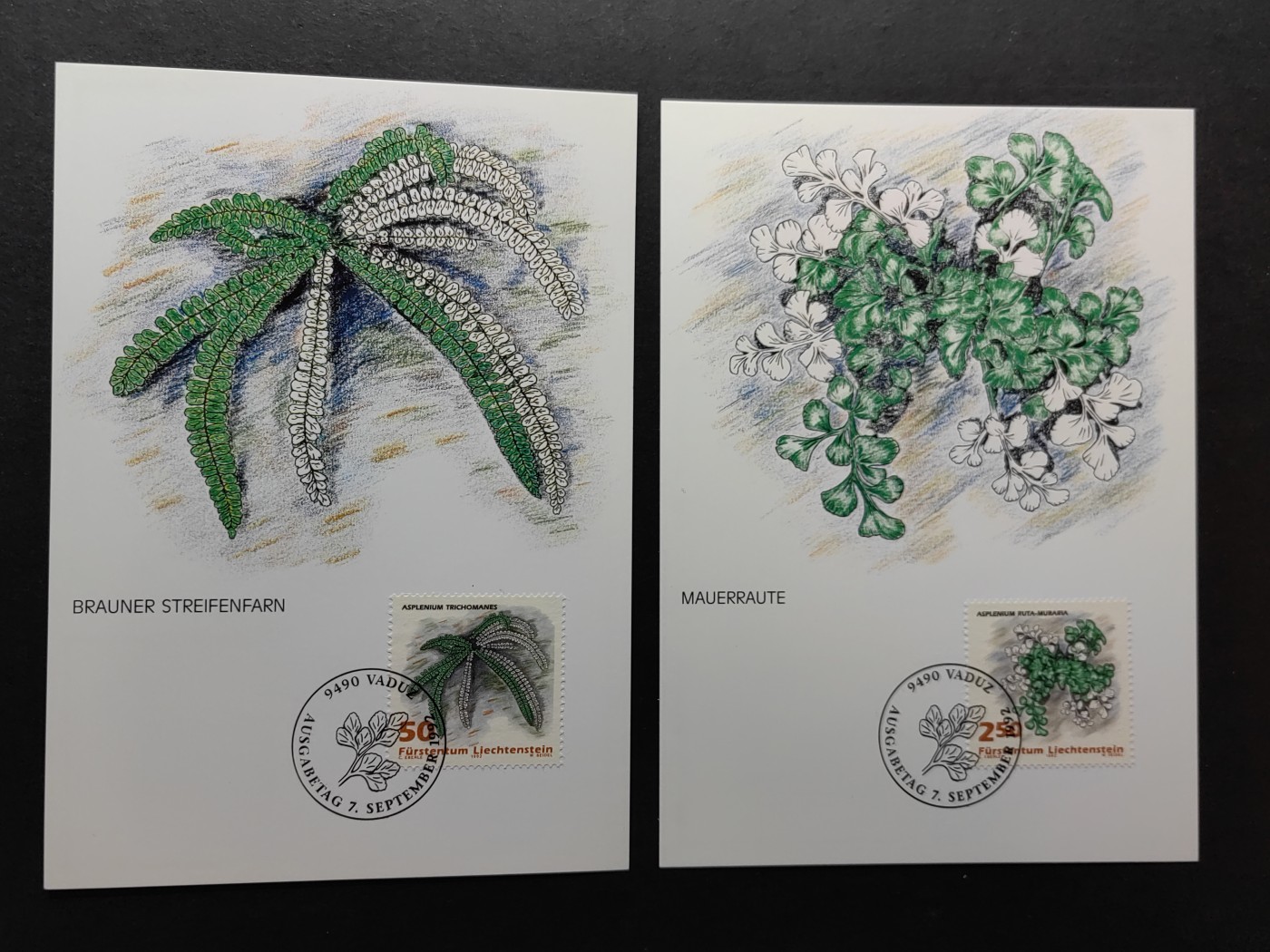 多国邮品✌（拍卖场）精品🔥专场 第⑤①场 列支敦士登公国极限明信片（海洋植物）
