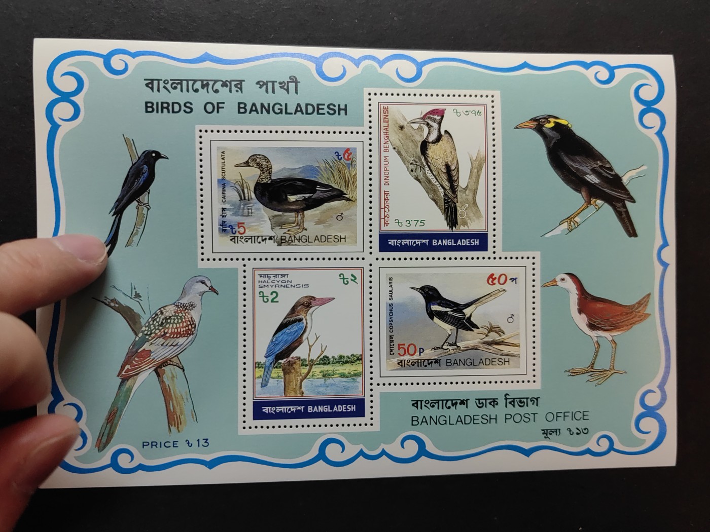 多国邮品✌（拍卖场）精品🔥专场 第⑤①场 孟加拉国 1983年保护鸟类小型张 目录$8.25 