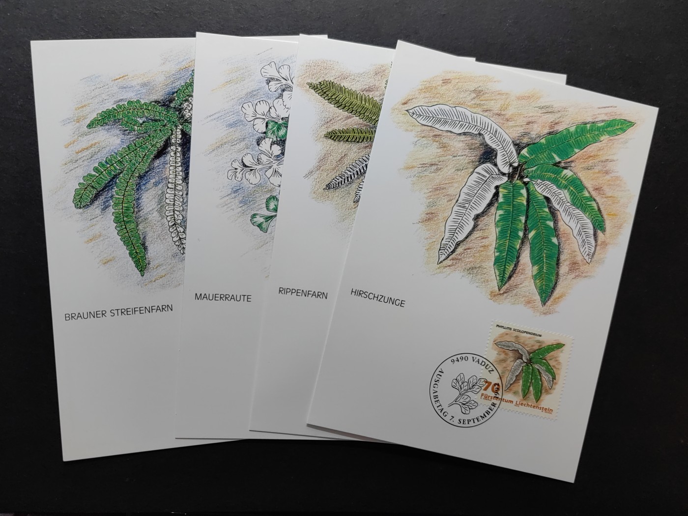 多国邮品✌（拍卖场）精品🔥专场 第⑤①场 列支敦士登公国极限明信片（海洋植物）