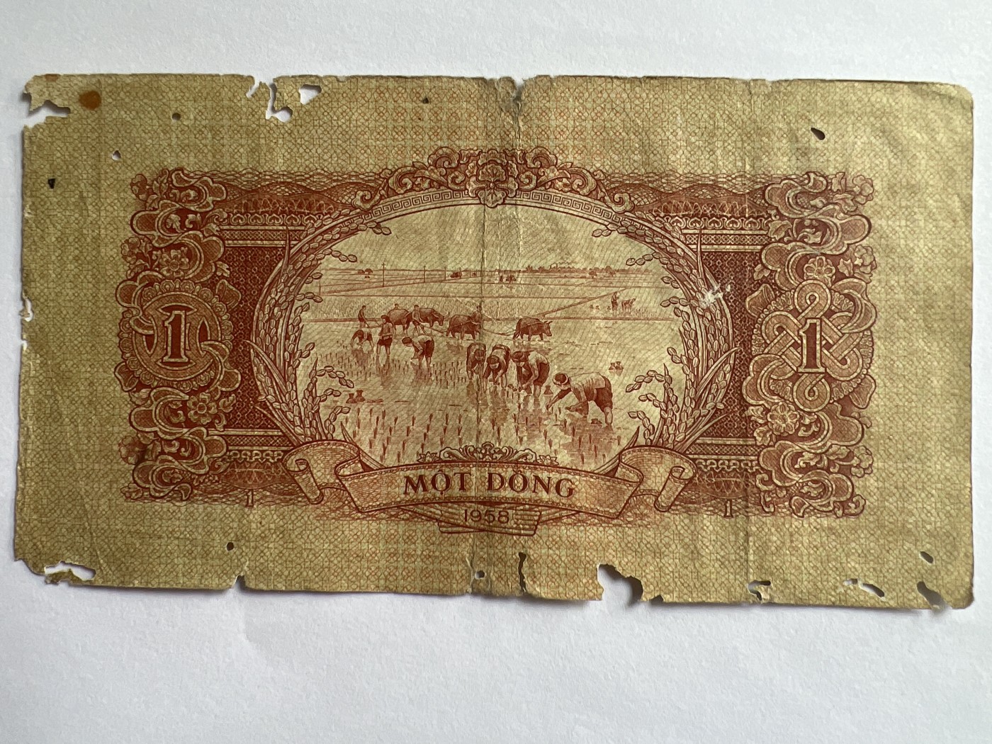 第623期纸币专场 （无押金，捡漏，全场50包邮，偏远地区除外，接收代拍业务） 越南1盾