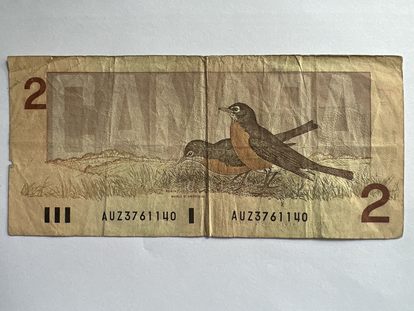 第623期纸币专场 （无押金，捡漏，全场50包邮，偏远地区除外，接收代拍业务） 加拿大2元  鸟版