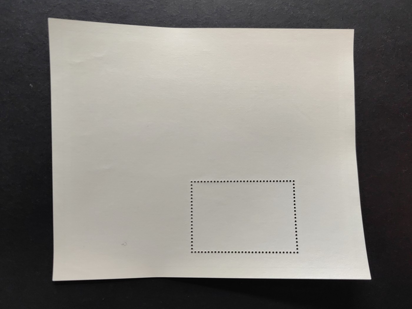 多国邮品✌（拍卖场）精品🔥专场 第⑤①场  巴布达 1983年 鲸鱼 小型张 