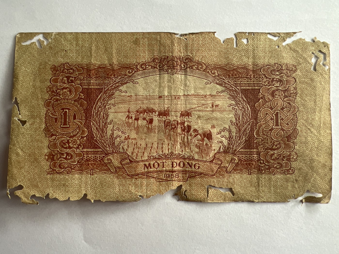 第540期  纸币专场 （无押金，捡漏，全场50包邮，偏远地区除外，接收代拍业务） 越南1盾