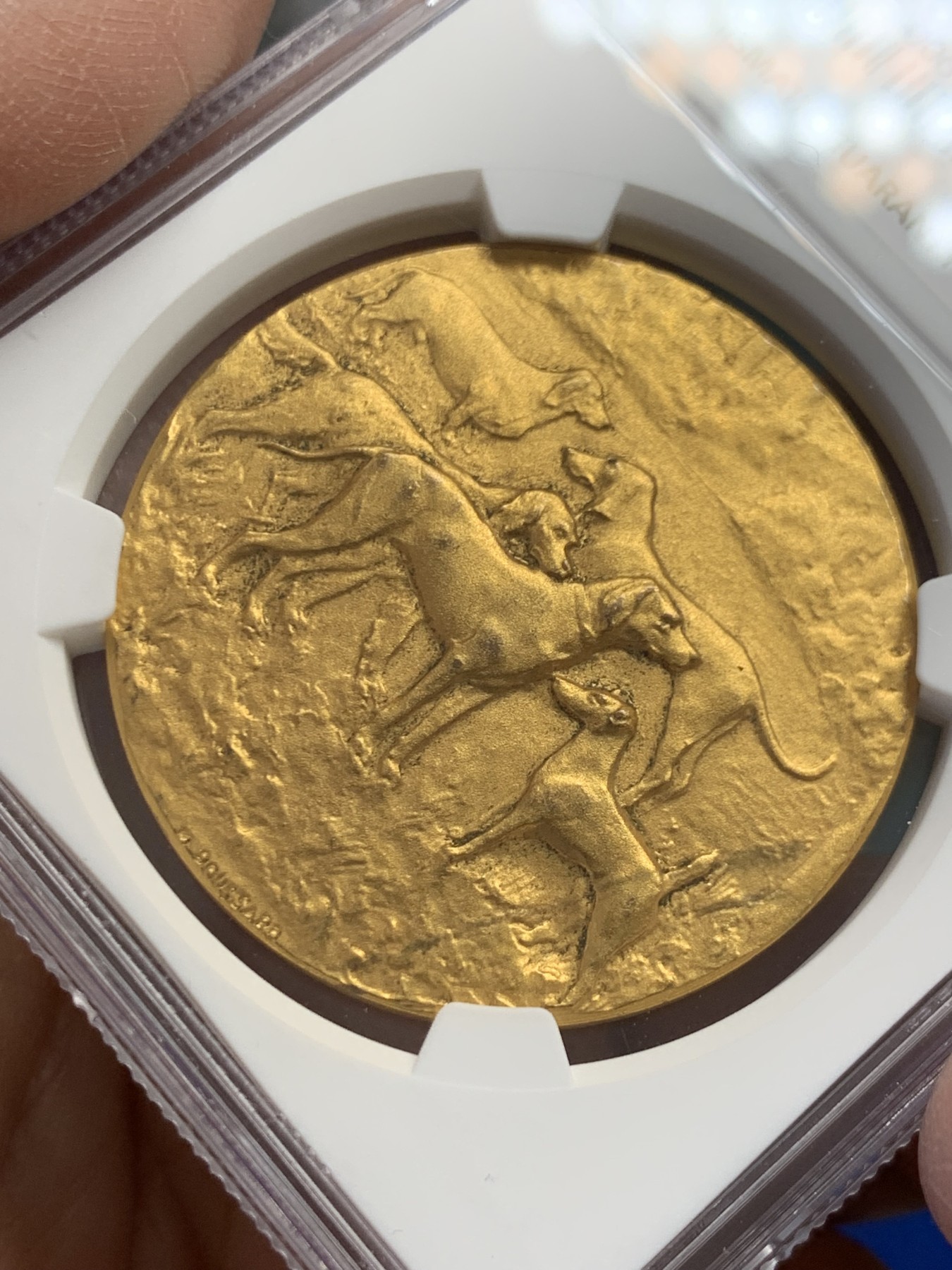 《竞宝斋》第243场-周日，周一 新年开场 (全场包邮) NGC-MS64 1900年法国萨瓦犬类协会铜镀金大奖章，镀层完美，金水很足，狗狗刻画生动细腻。64收藏级高分