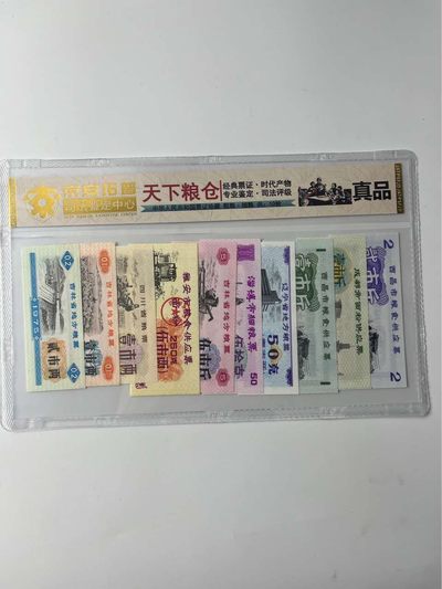 开心放漏，无佣金 - 16张粮票天下粮仓 10个版本 权威京安拓普司法鉴定封装 