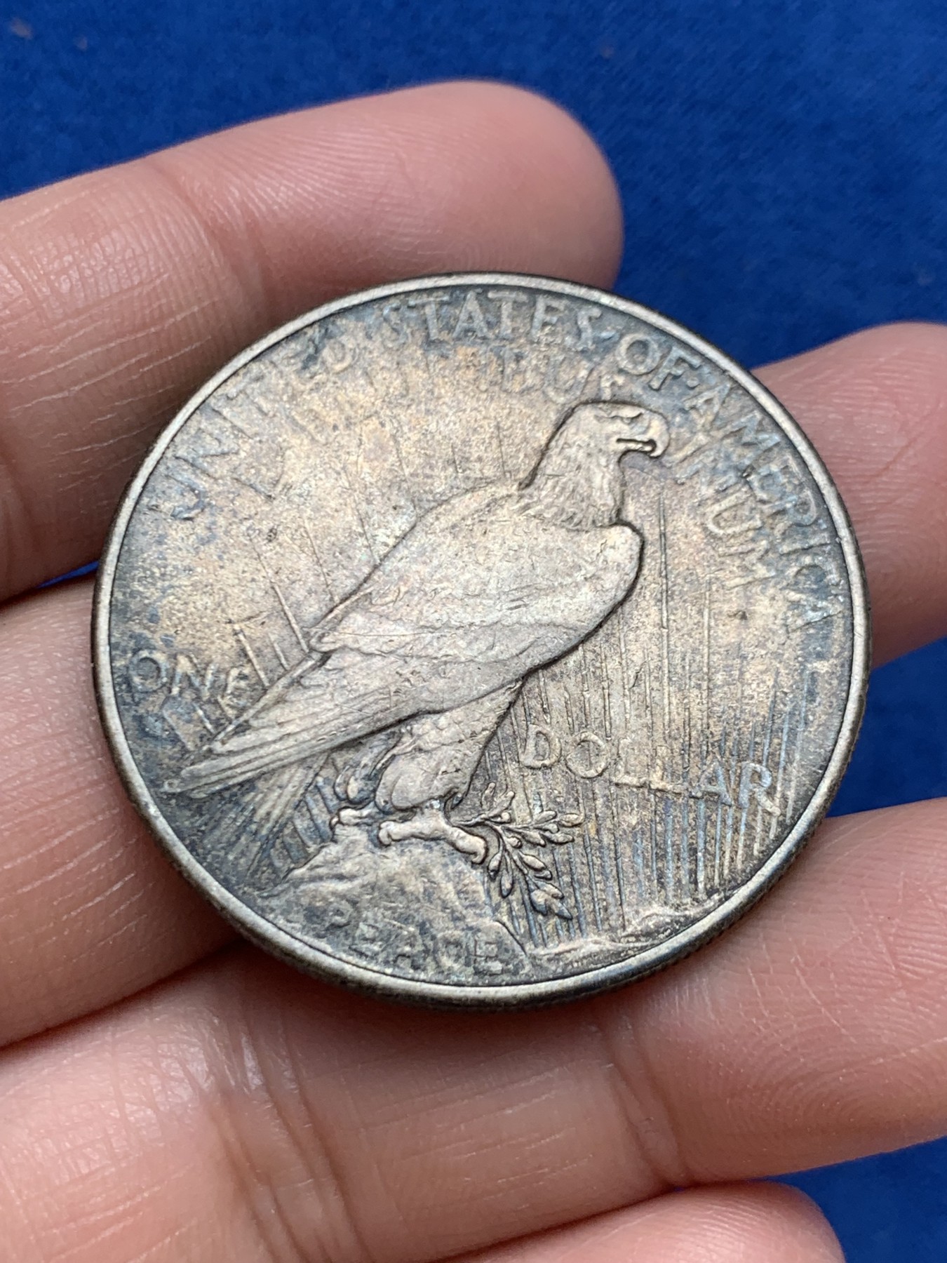 《竞宝斋》第243场-周日，周一 新年开场 (全场包邮) 美国1925年和平鸽银币，漂亮的包浆币，好味道！