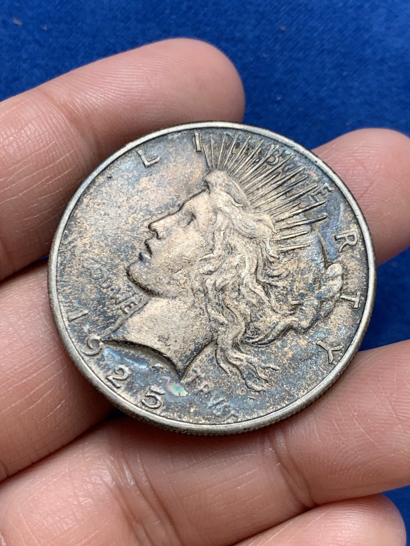 《竞宝斋》第243场-周日，周一 新年开场 (全场包邮) 美国1925年和平鸽银币，漂亮的包浆币，好味道！