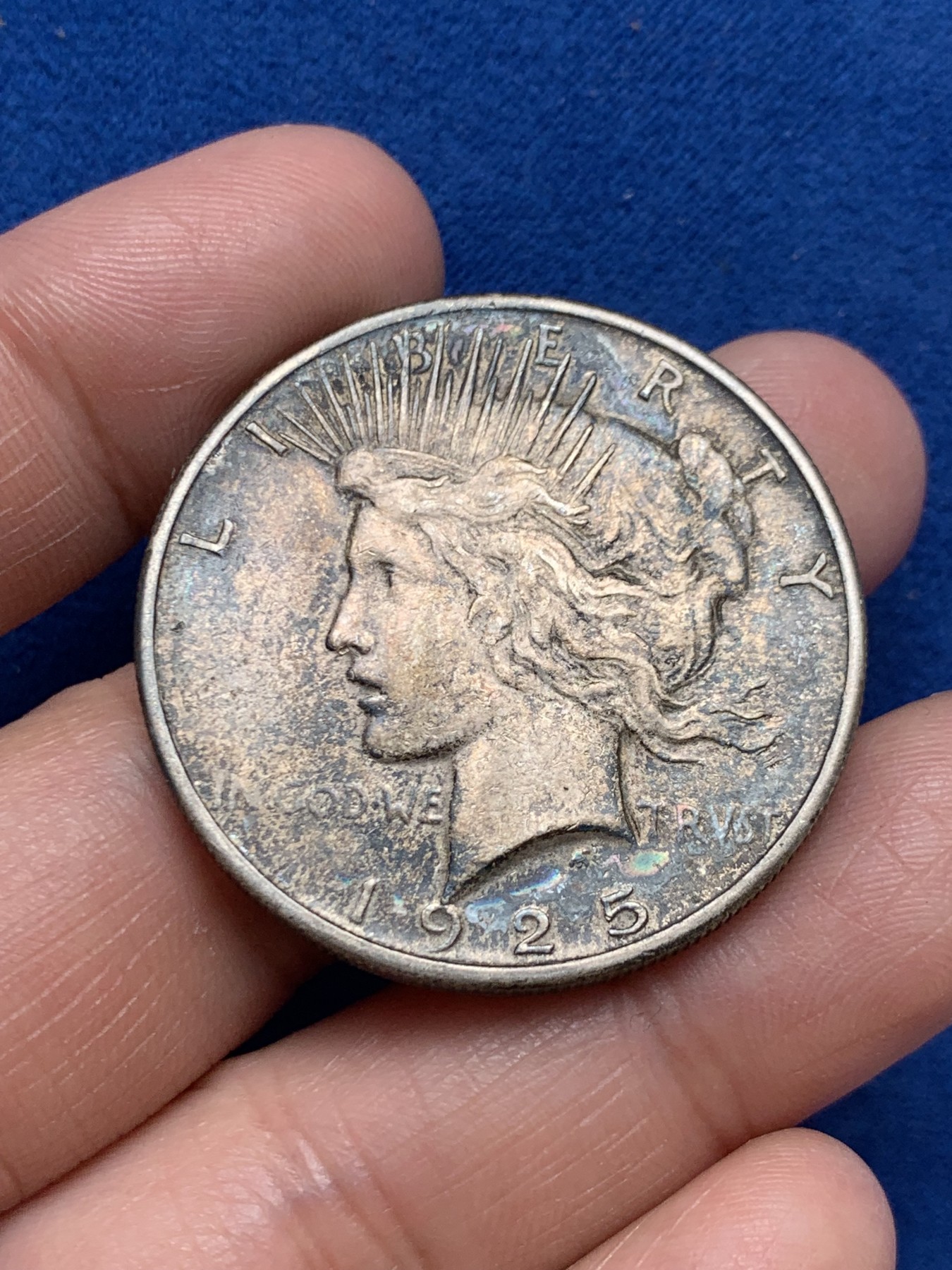 《竞宝斋》第243场-周日，周一 新年开场 (全场包邮) 美国1925年和平鸽银币，漂亮的包浆币，好味道！