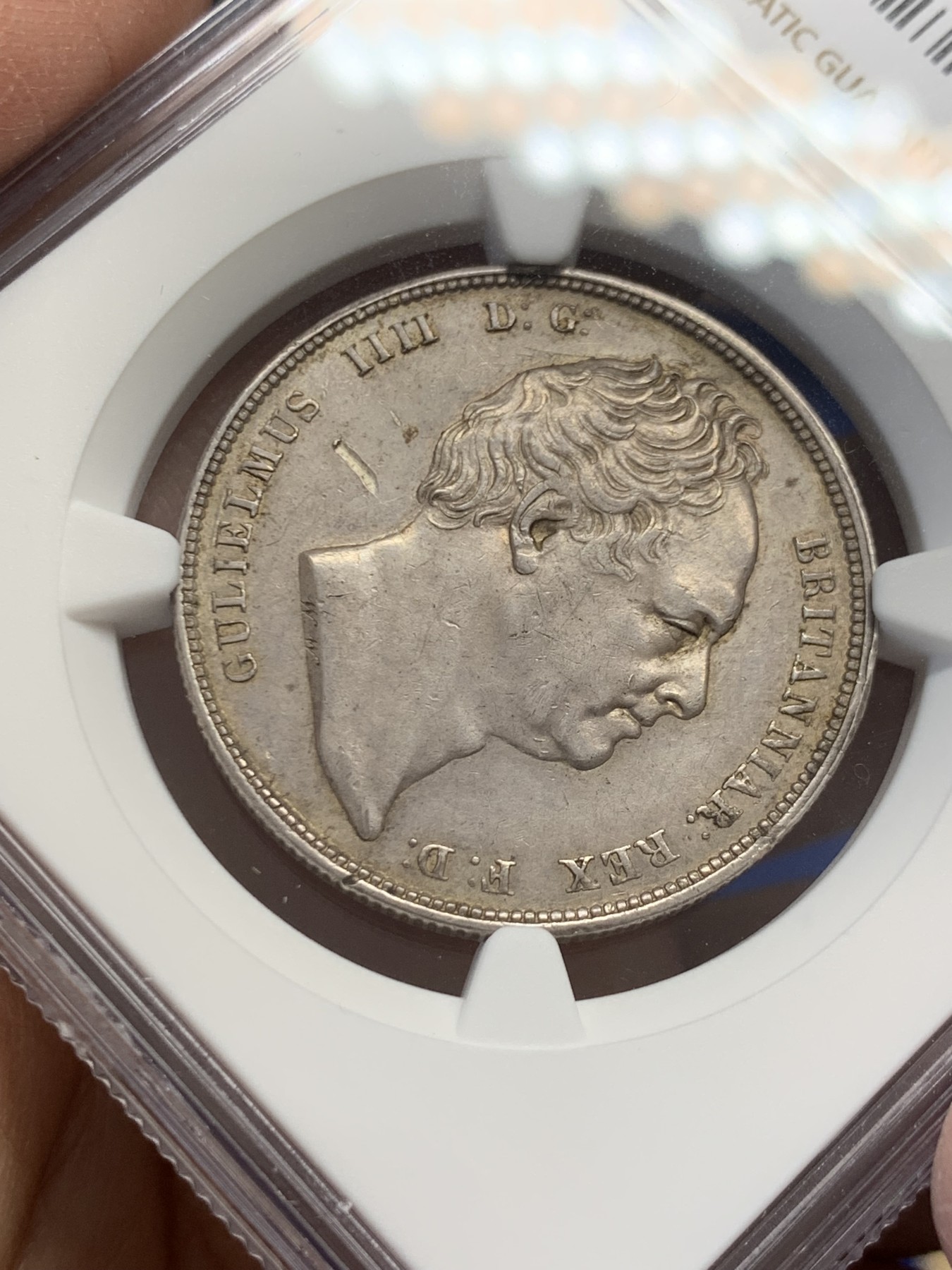 《竞宝斋》第243场-周日，周一 新年开场 (全场包邮) NGC AUD 英国1836年威廉四世半克朗银币 包浆醇厚，仅面部有一处磕伤，发现量比乔治四世更稀少