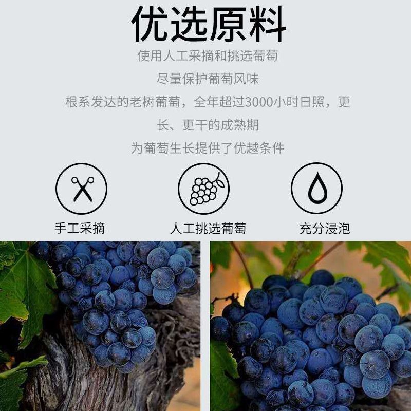法国进口红酒赤霞珠干红葡萄酒双支整