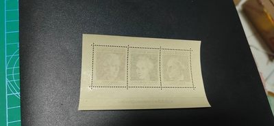 德国邮票专场，都是小型张、小全张 德国邮票小版票一张，1969年联邦德国西德妇女享有选举权小版票，品相如图