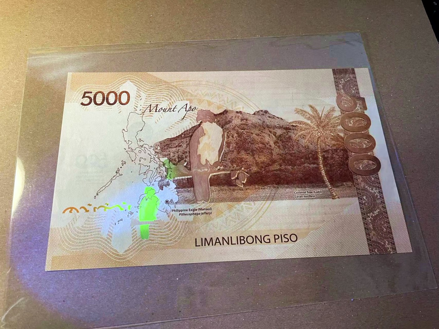 【Blue Auction】✨世界纸币精拍第440期【精】    【616倒置小号 带册】菲律宾 2021（A）年5000比索 较少见 超大票幅 纪念钞 设计精美 全新UNC（极轻微印子）