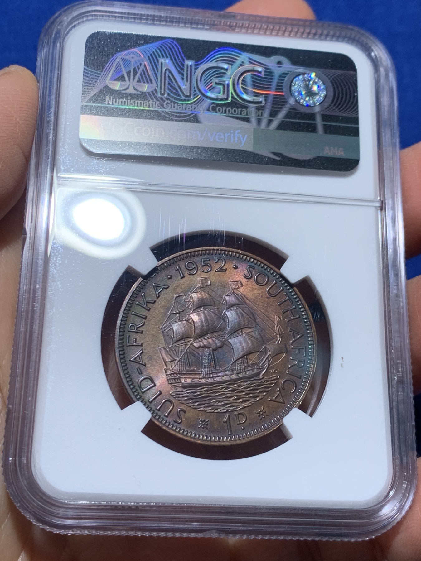 《竞宝斋》第244场-周日，周一 新年开场 (全场包邮) 1952年南非精制9枚套，原味五彩，主币高分，NGC盒子连号，带原盒。