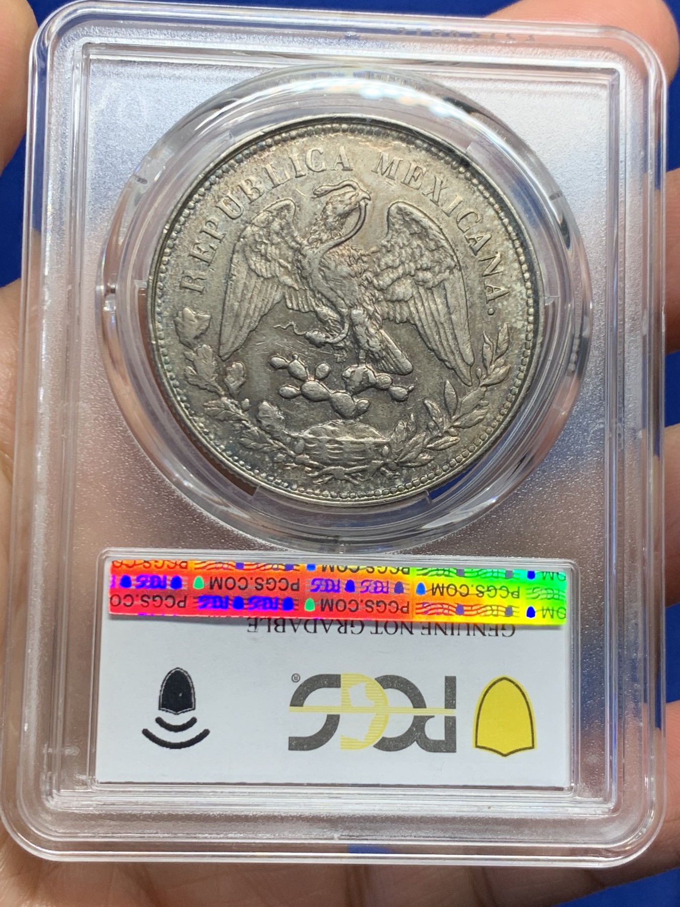 《竞宝斋》第244场-周日，周一 新年开场 (全场包邮) PCGS AUD 墨西哥1903年MO AM直边鹰洋1比索大银币