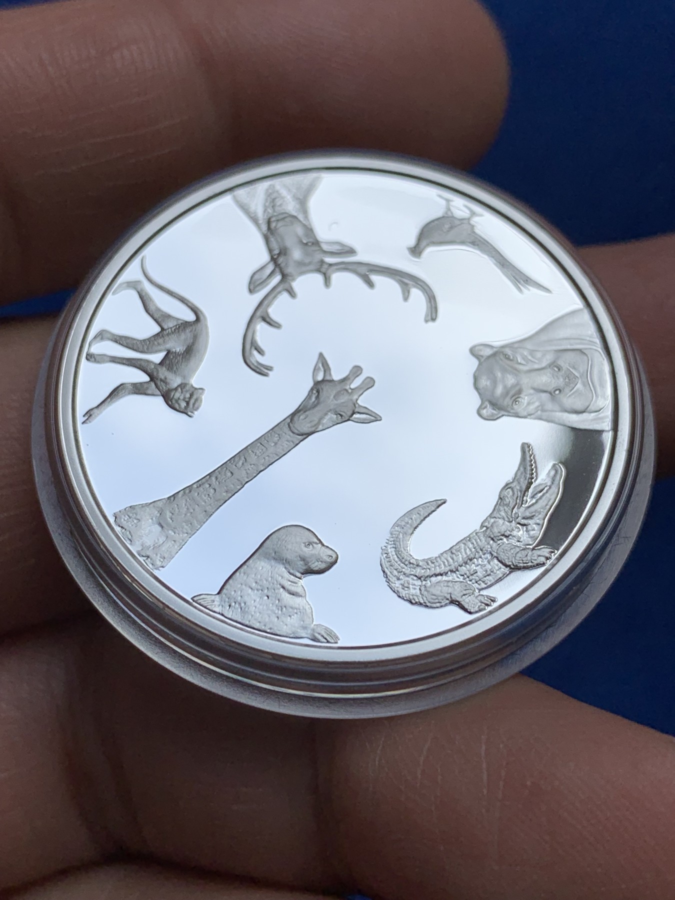 《竞宝斋》第244场-周日，周一 新年开场 (全场包邮) 2012年拉脱维亚里加动物园精制银币 克劳斯获奖作品 可爱精美 币完好外壳小划痕 盒证齐全 27g 925银