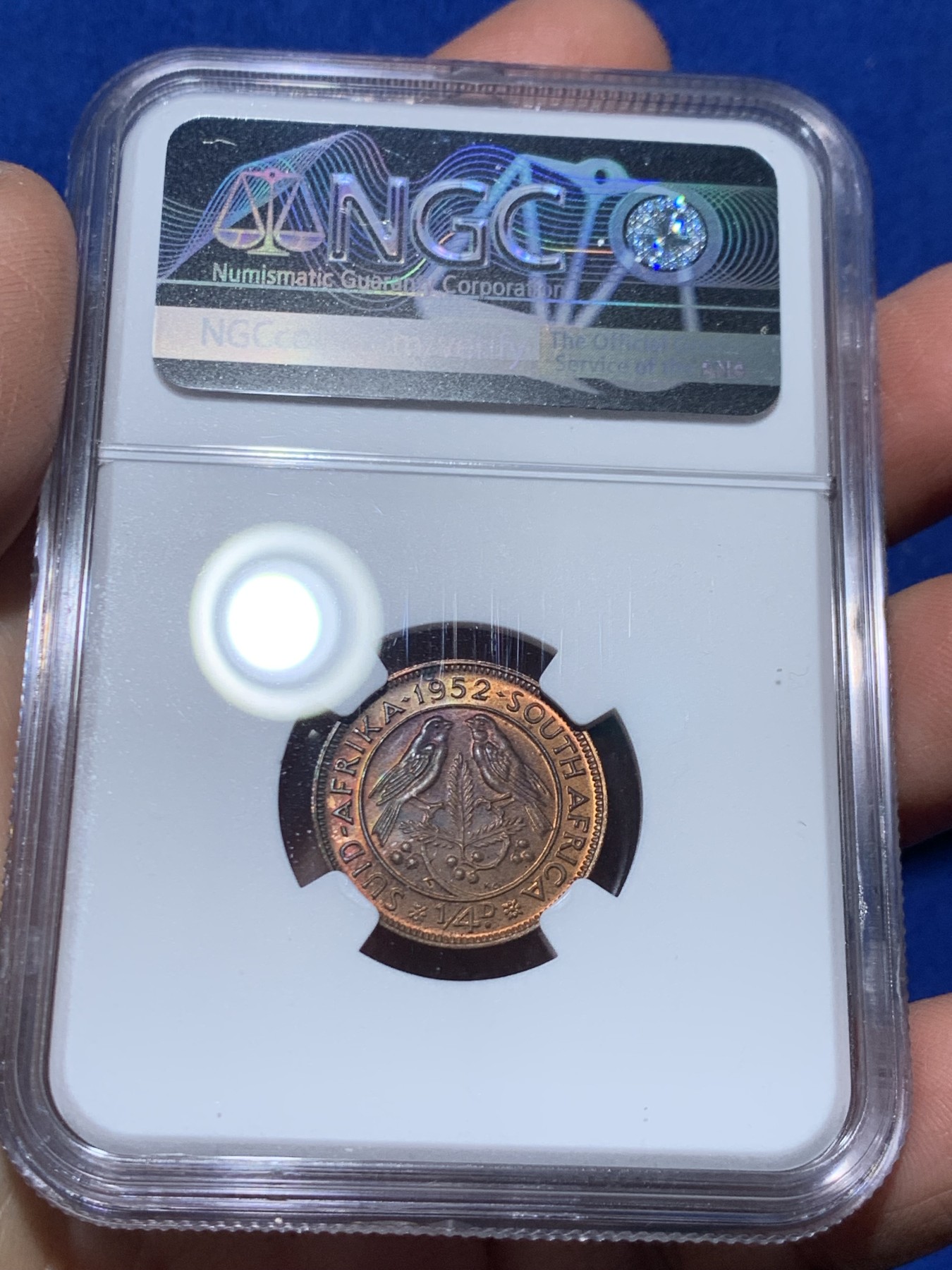 《竞宝斋》第244场-周日，周一 新年开场 (全场包邮) 1952年南非精制9枚套，原味五彩，主币高分，NGC盒子连号，带原盒。