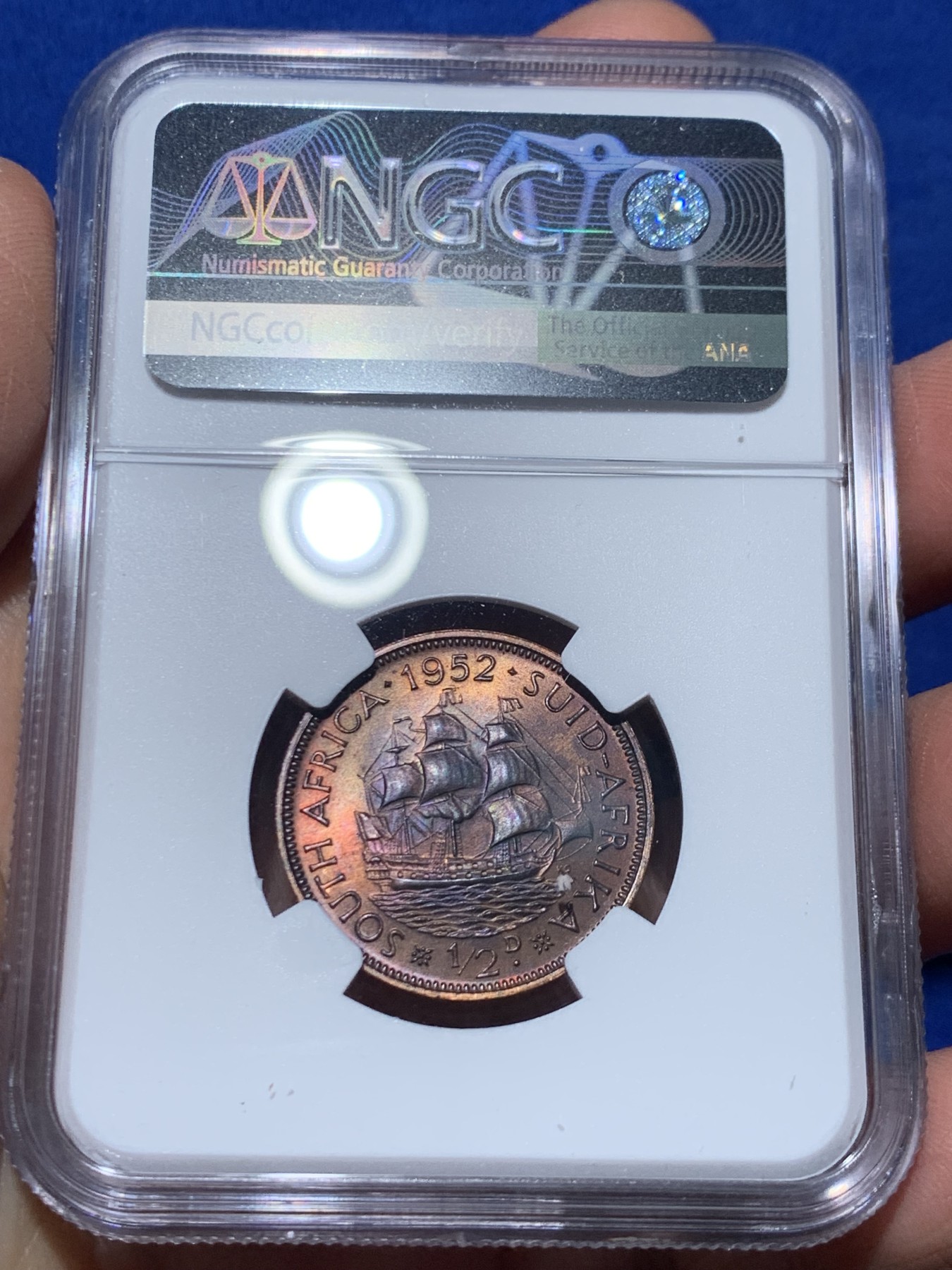 《竞宝斋》第244场-周日，周一 新年开场 (全场包邮) 1952年南非精制9枚套，原味五彩，主币高分，NGC盒子连号，带原盒。