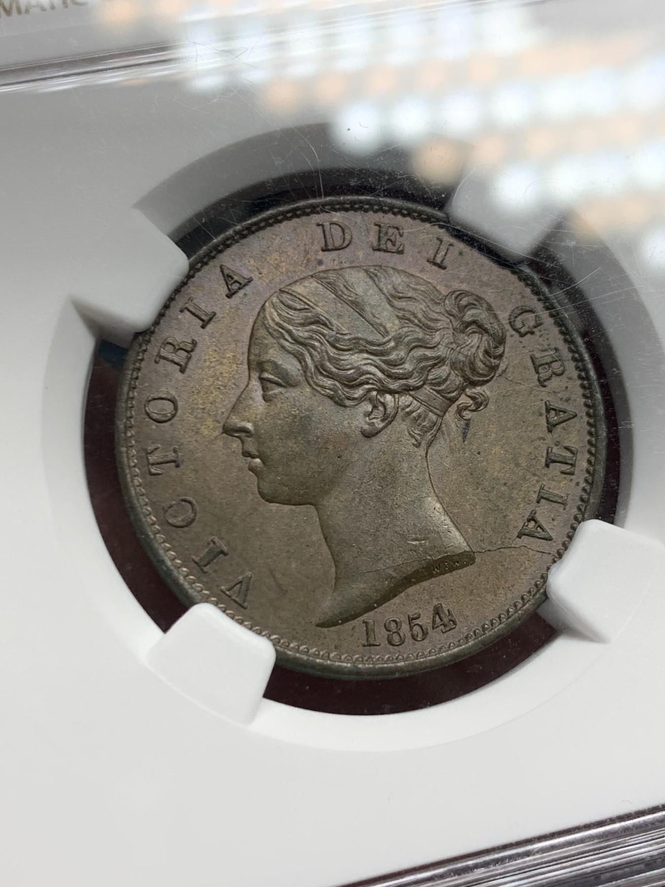 《竞宝斋》第244场-周日，周一 新年开场 (全场包邮) NGC MS64BN 1854年英国早期维多利亚半便士 古典高浮雕包浆均匀 细节打制犀利