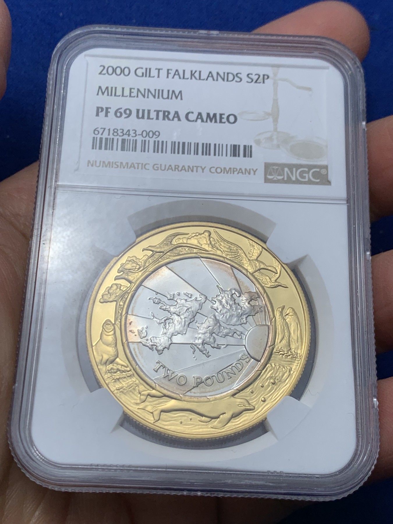 《竞宝斋》第244场-周日，周一 新年开场 (全场包邮) NGC PF69UC 英属福克兰群岛【马尔维纳斯群岛】千禧年精制双色镀金银币，外圈是福克兰特有动物集合，中间为马岛地图美不胜收