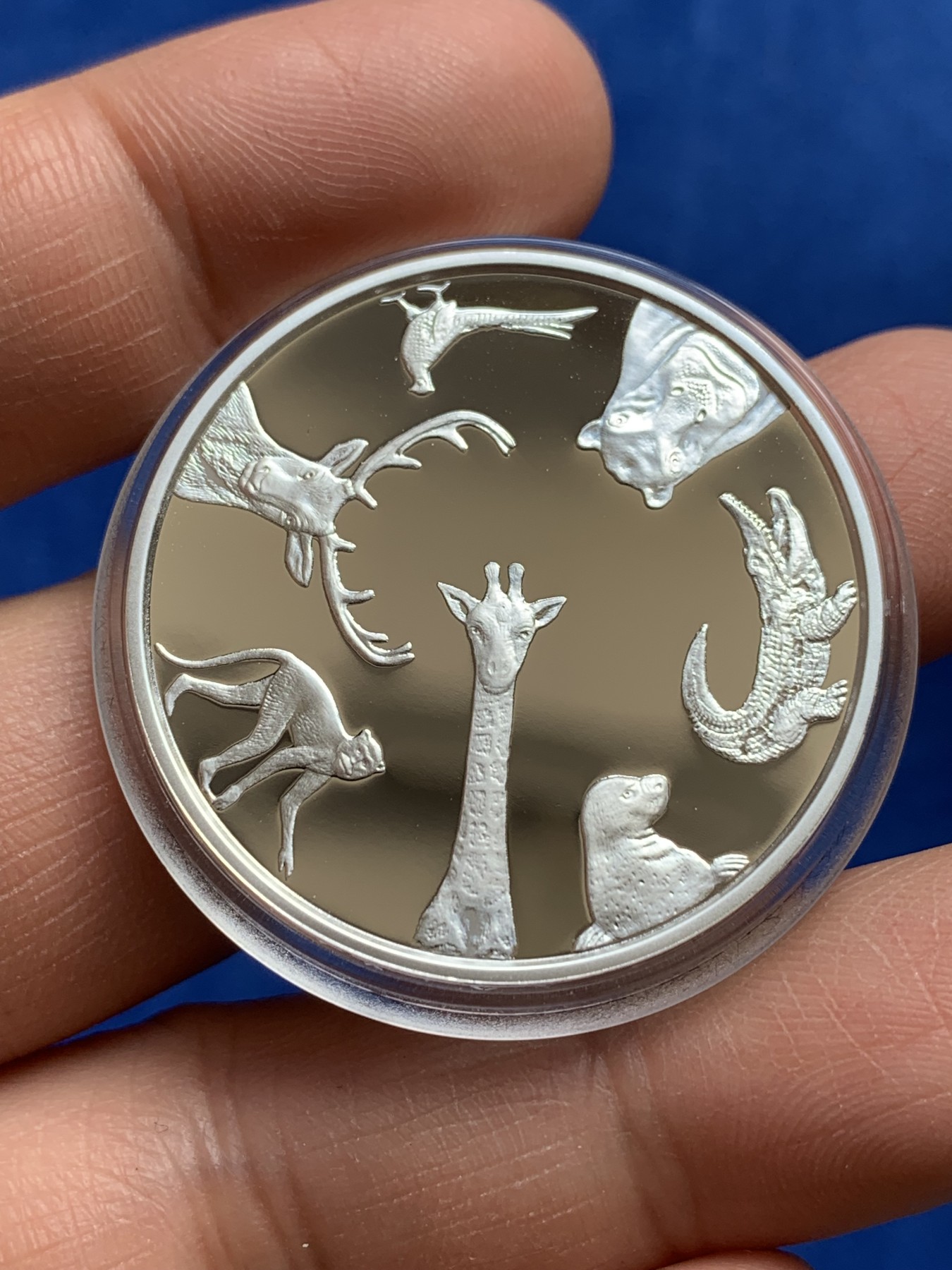 《竞宝斋》第244场-周日，周一 新年开场 (全场包邮) 2012年拉脱维亚里加动物园精制银币 克劳斯获奖作品 可爱精美 币完好外壳小划痕 盒证齐全 27g 925银