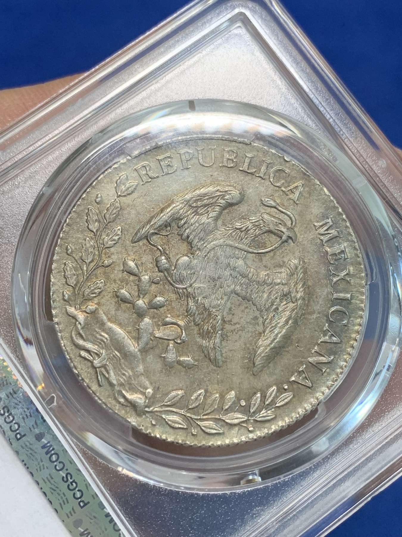 《竞宝斋》第244场-周日，周一 新年开场 (全场包邮) PCGS AU55 墨西哥 1894年 8R 花边鹰洋 银币 MO AM 底光不错