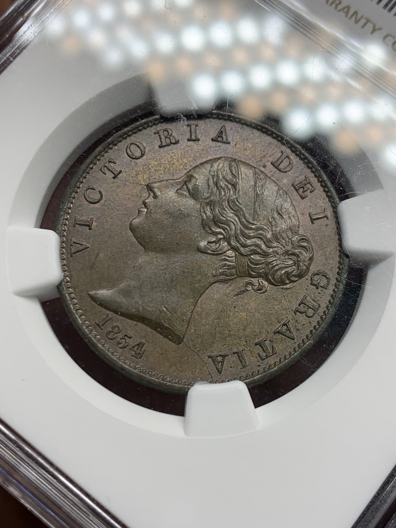 《竞宝斋》第244场-周日，周一 新年开场 (全场包邮) NGC MS64BN 1854年英国早期维多利亚半便士 古典高浮雕包浆均匀 细节打制犀利