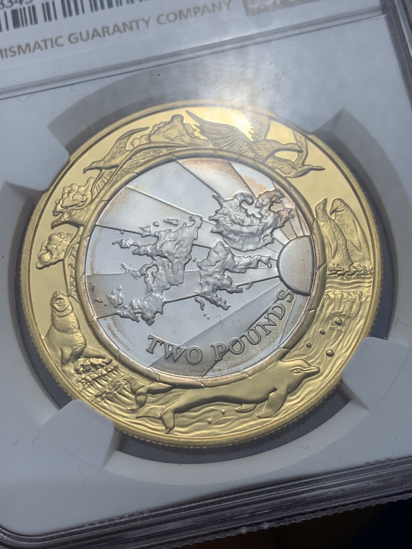 《竞宝斋》第244场-周日，周一 新年开场 (全场包邮) NGC PF69UC 英属福克兰群岛【马尔维纳斯群岛】千禧年精制双色镀金银币，外圈是福克兰特有动物集合，中间为马岛地图美不胜收