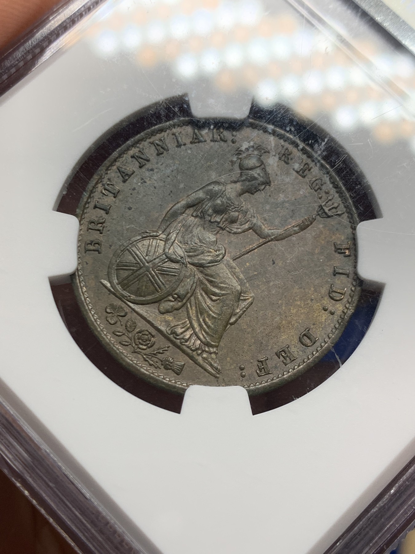 《竞宝斋》第244场-周日，周一 新年开场 (全场包邮) NGC MS64BN 1854年英国早期维多利亚半便士 古典高浮雕包浆均匀 细节打制犀利