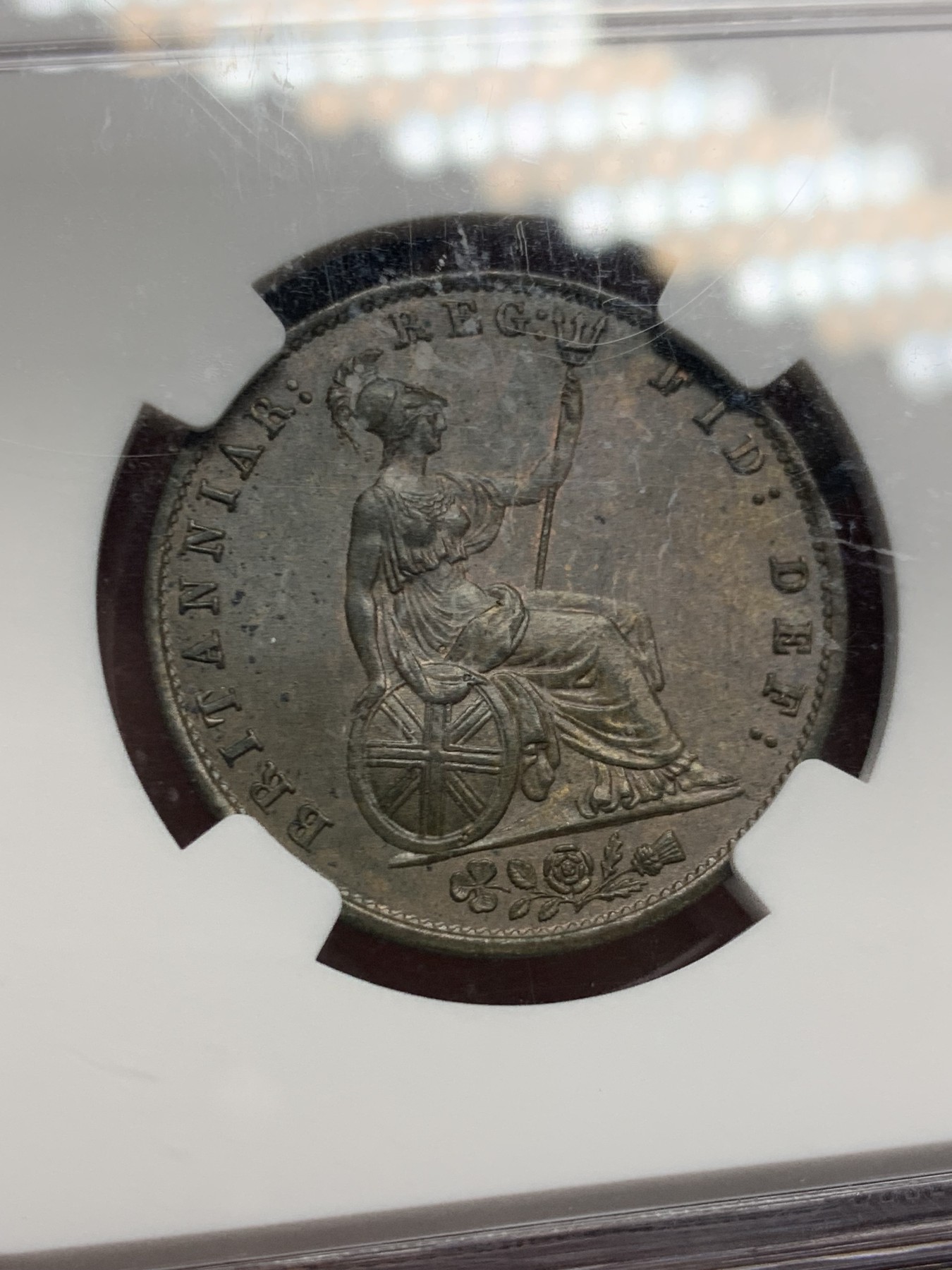 《竞宝斋》第244场-周日，周一 新年开场 (全场包邮) NGC MS64BN 1854年英国早期维多利亚半便士 古典高浮雕包浆均匀 细节打制犀利